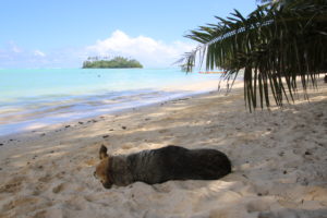 https://wanderlustsolowomentours.com/wp-content/uploads/2018/02/IMG_0240-300x200.jpg