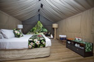 https://wanderlustsolowomentours.com/wp-content/uploads/2018/03/ikurangi-8-w600h400-300x200.jpg